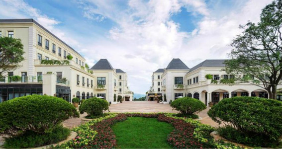 ����鿴����