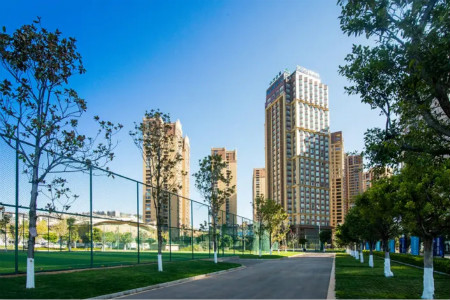 ����鿴����