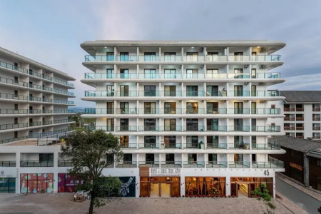 ����鿴����