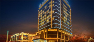 ����鿴����