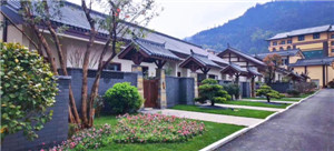 ����鿴����