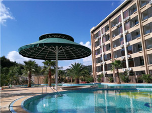 ����鿴����