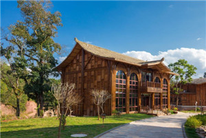 ����鿴����