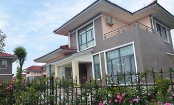 ����鿴����