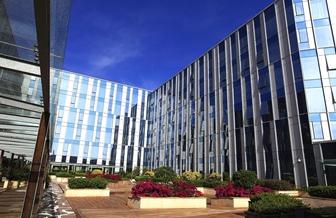 ����鿴����