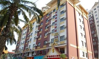 ����鿴����