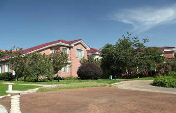 ����鿴����