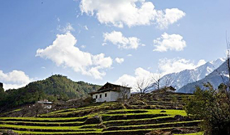 ����鿴����