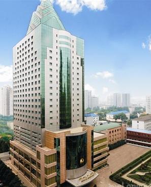 ����鿴����