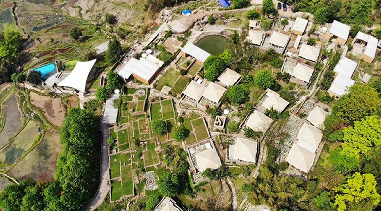 ����鿴����