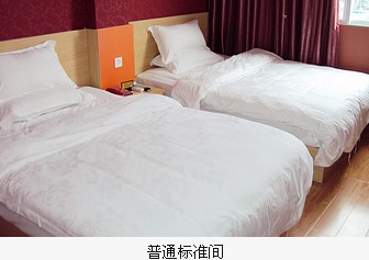 ����鿴����