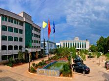 ����鿴����