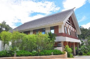 ����鿴����