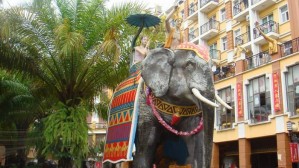 ����鿴����