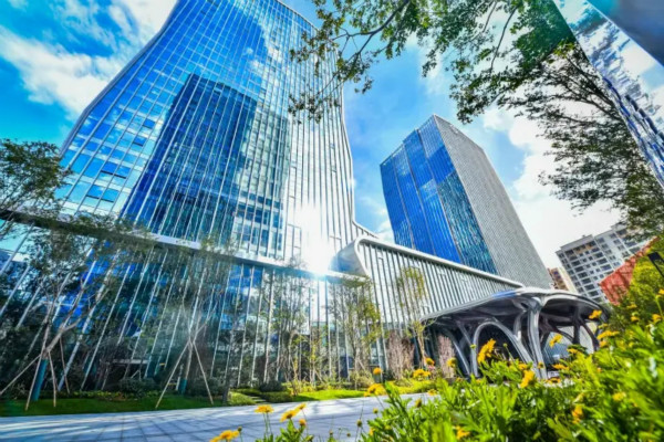 ����鿴����