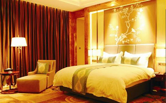 ����鿴����