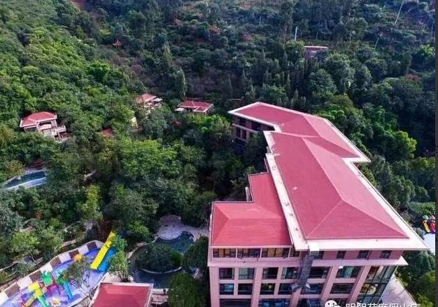 ����鿴����