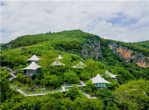 ����鿴����