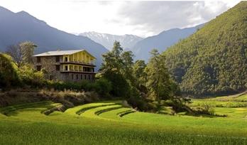 ����鿴����