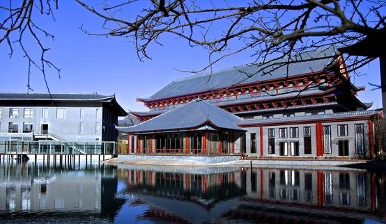 ����鿴����