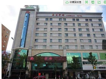 ����鿴����