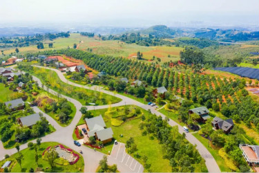 ����̫ƽ��ɭ��ľ�ݾƵ�ͼƬ