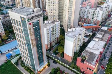 ����鿴����