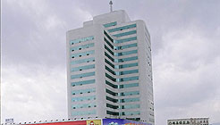 ����鿴����