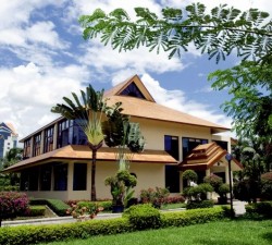 ����鿴����