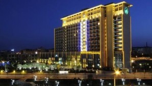 ����鿴����