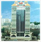 ����鿴����