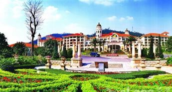 ����鿴����