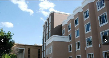 ����鿴����