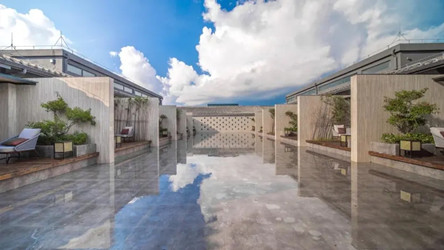 ����鿴����