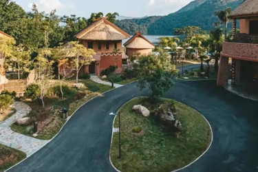 ����鿴����