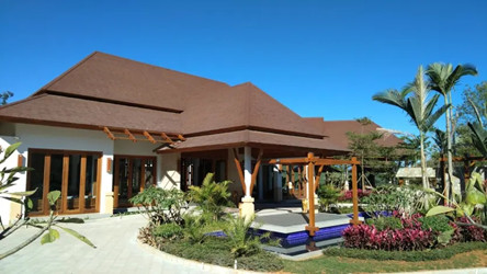 ����鿴����