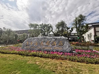 ����鿴����