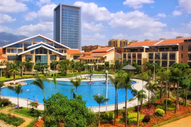 ����鿴����