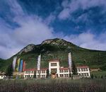 ����鿴����