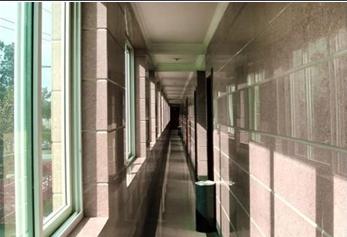 ����鿴����