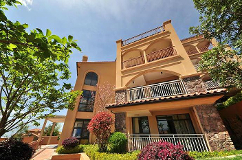 ����鿴����