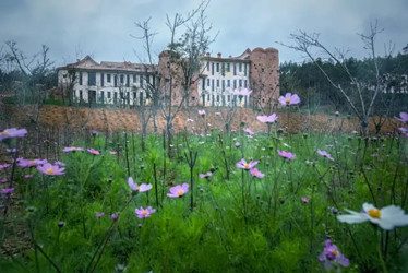 ����鿴����