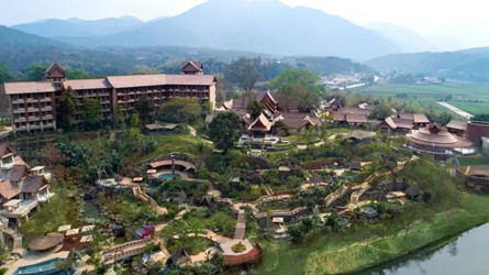 ����鿴����