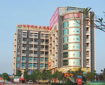 ����鿴����