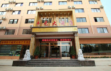 ����鿴����