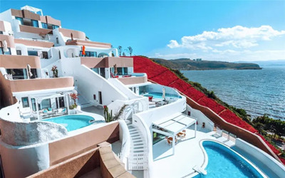 ����鿴����