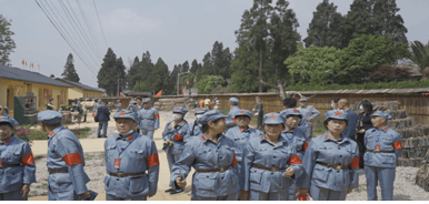 ����鿴����