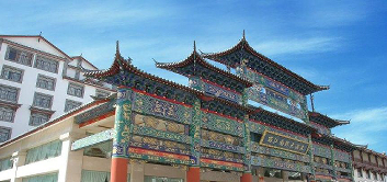 ����鿴����