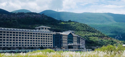 ����鿴����