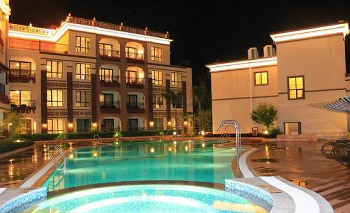 ����鿴����